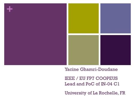 + Yacine Ghamri-Doudane IEEE / EU FP7 COOPEUS Lead and PoC of IN-04 C1 University of La Rochelle, FR.