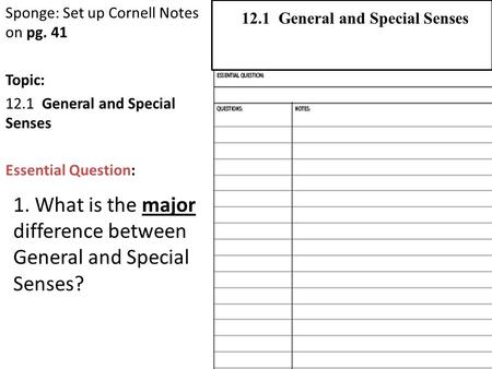 Sponge: Set up Cornell Notes on pg. 41 Topic: 12.1 General and Special Senses Essential Question: 2.1 Atoms, Ions, and Molecules 12.1 General and Special.