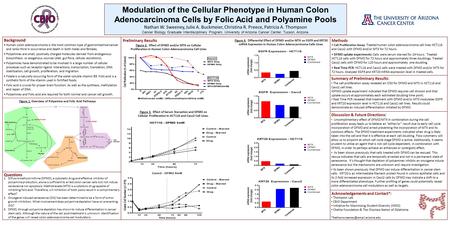 Modulation of the Cellular Phenotype in Human Colon Adenocarcinoma Cells by Folic Acid and Polyamine Pools Nathan W. Sweeney, Julie A. Buckmeier, Christina.