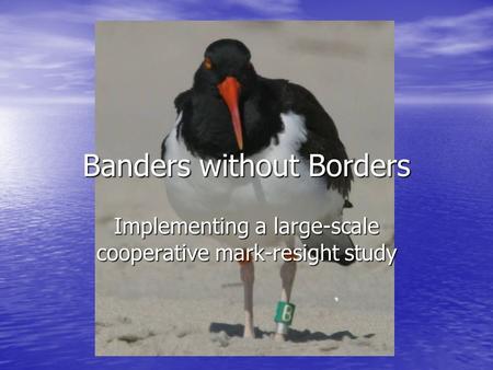 Banders without Borders Implementing a large-scale cooperative mark-resight study.