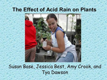 The Effect of Acid Rain on Plants Susan Base, Jessica Best, Amy Crook, and Tya Dawson.