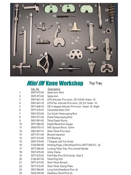 Mini IM Knee Workshop Cat. No. Description 1 5997-072-00 Spike Arm Rod 25997-073-00 Spike Arm 35997-041-10 LPS Articular Provision, CD 5-6/Str Green 10.
