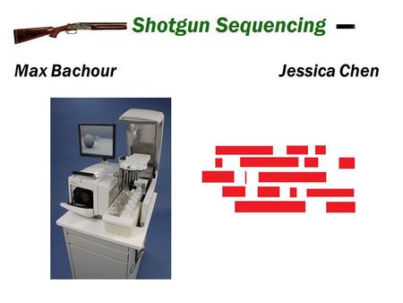 Max BachourJessica Chen. Shotgun or 454 sequencing High throughput sequencing technique that can collect a large amount of data at a fast rate. Works.
