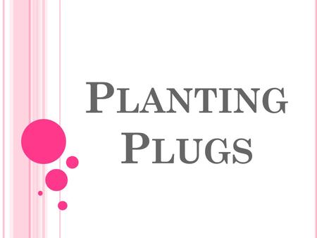 P LANTING P LUGS. B ELL R INGER Write the answer to the questions in your notebook. GET STARTED!!! What is a plug? What is the difference between a plug.