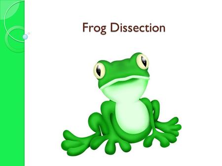 Frog Dissection.