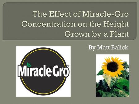 By Matt Balick.  Problem Statement- Does the concentration of Miracle-Gro affect the height that a plant will grow?  Hypothesis- If a plant is given.