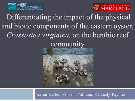 Karen Kesler, Vincent Politano, Kennedy Paynter Differentiating the impact of the physical and biotic components of the eastern oyster, Crassostea virginica,