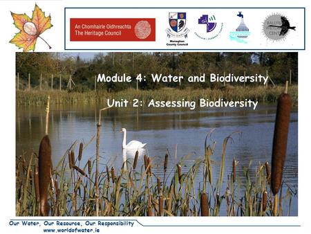 Our Water, Our Resource, Our Responsibility www.worldofwater.ie DRAFT Module 4: Water and Biodiversity Unit 2: Assessing Biodiversity.