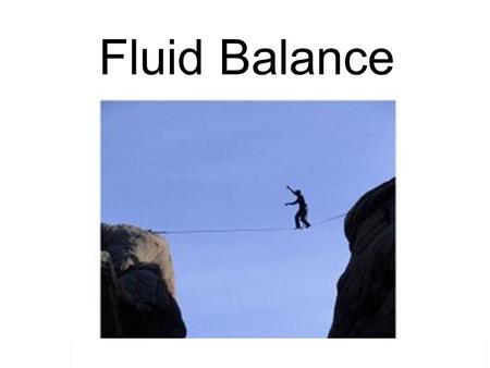 Fluid Balance. Outline of Talk Fluid compartments What can go wrong Calculating fluid requirements Principles of fluid replacement Scenarios.