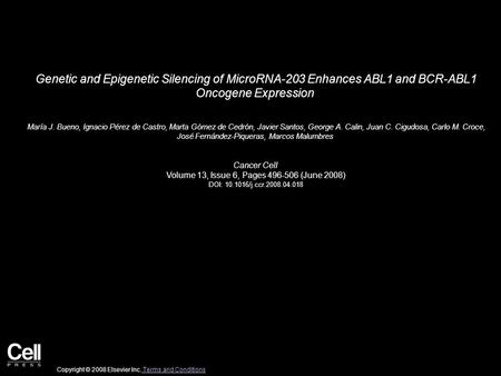 Genetic and Epigenetic Silencing of MicroRNA-203 Enhances ABL1 and BCR-ABL1 Oncogene Expression María J. Bueno, Ignacio Pérez de Castro, Marta Gómez de.