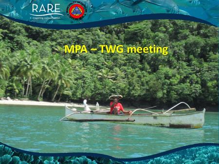 MPA – TWG meeting. Agenda 1.Finalization of the Vision & Mission 2.Name or tag of the TWG.