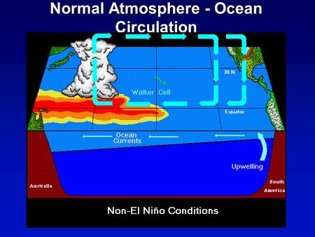 Normal Atmosphere - Ocean Circulation. wind W E W E Warm Cold Pacific ocean 1 m Normal El Niño Circulatio n Changes Associate d with El Niño.