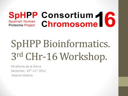 SpHPP Bioinformatics. 3 rd CHr-16 Workshop. Miraflores de la Sierra December, 10 th -11 th 2012 Alberto Medina.
