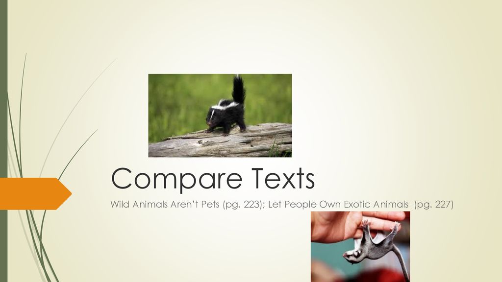 Compare Texts Wild Animals Aren't Pets (pg. 223); Let People Own Exotic  Animals (pg. 227) - ppt download
