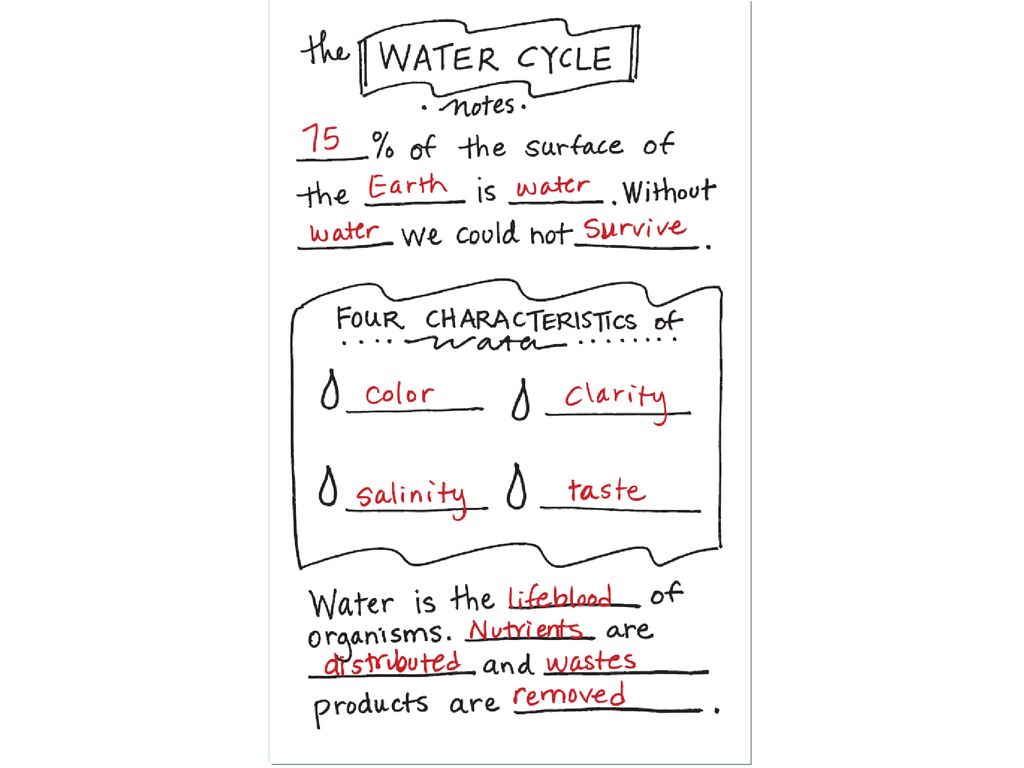 Monday, February 21th Entry Task - ppt download Regarding Bill Nye Water Cycle Worksheet