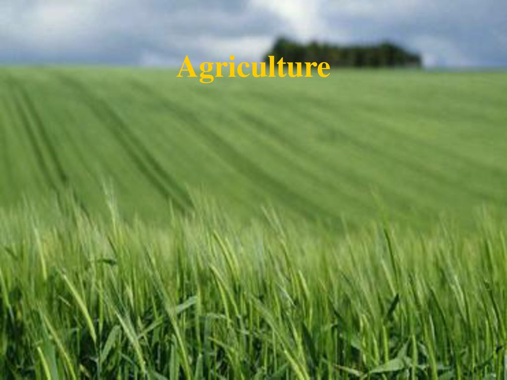 Agriculture. - ppt download