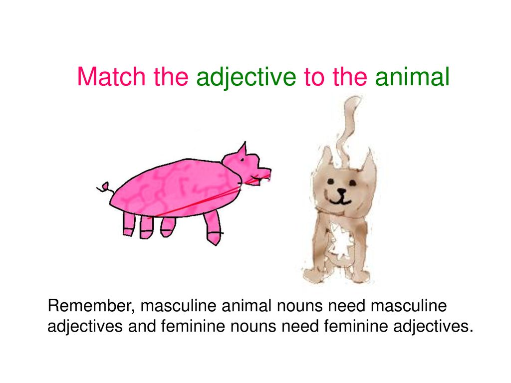 Match the adjective to the animal - ppt download