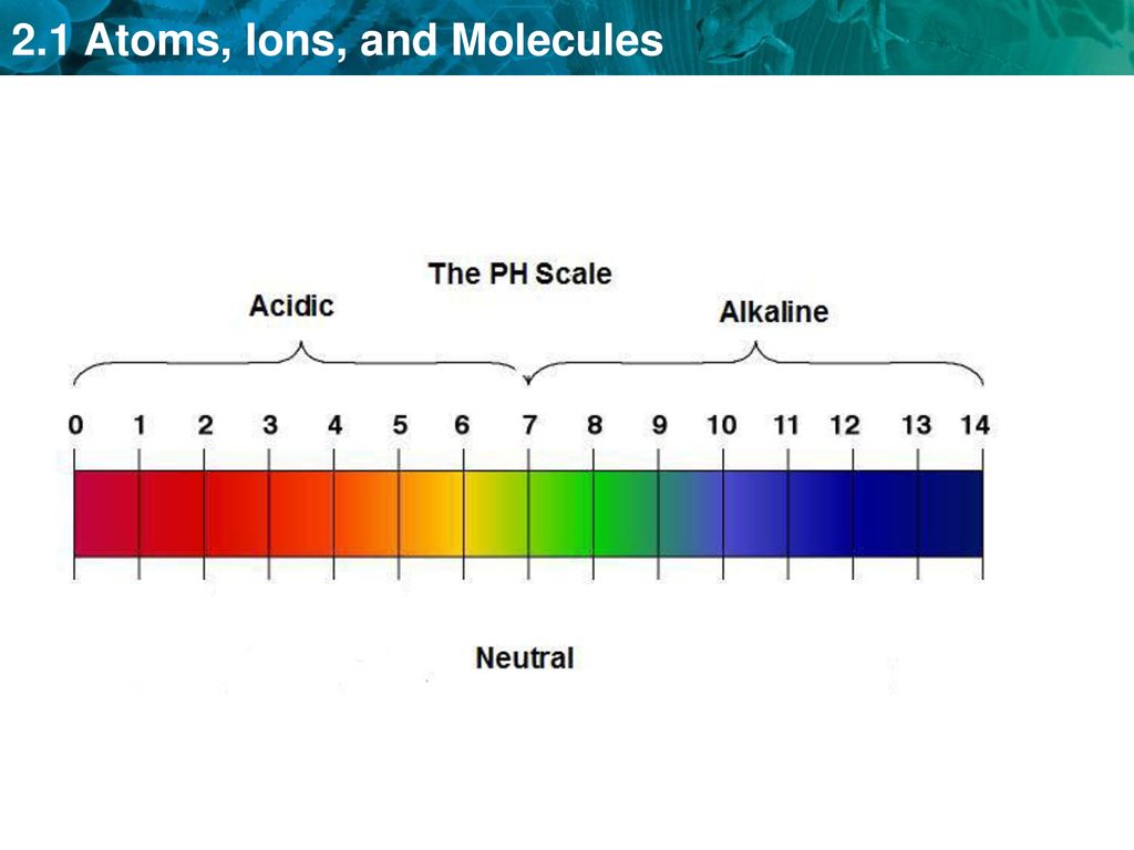 Chemistry for Biology Chapter 2 - ppt download