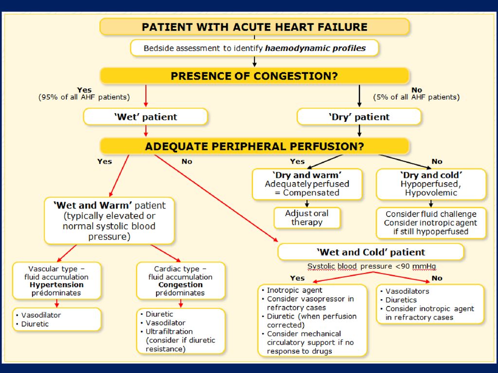 Acute перевод. Acute Heart failure. Acute Heart failure treatment. Chronic Heart failure treatment. Heart failure Guidelines.