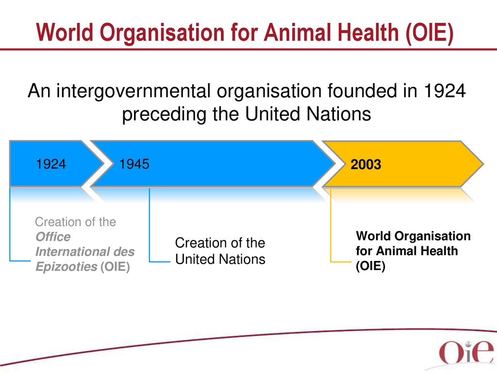 World Organisation for Animal Health (OIE) - ppt download