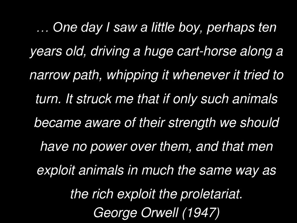 One day I saw a little boy, perhaps ten years old, driving a huge  cart-horse along a narrow path, whipping it whenever it tried to turn. It  struck me. - ppt