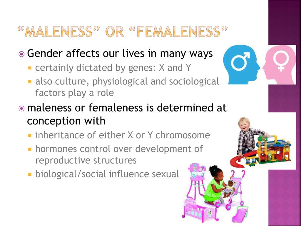 maleness” or “femaleness” - ppt download