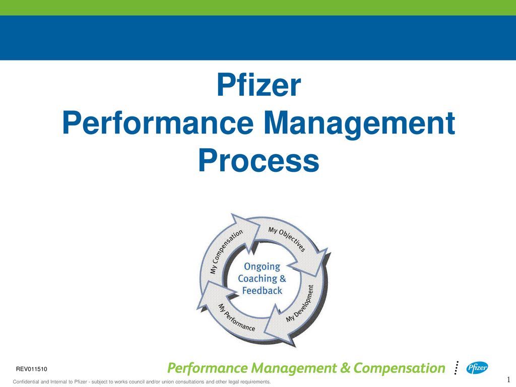 pfizer objectives and goals