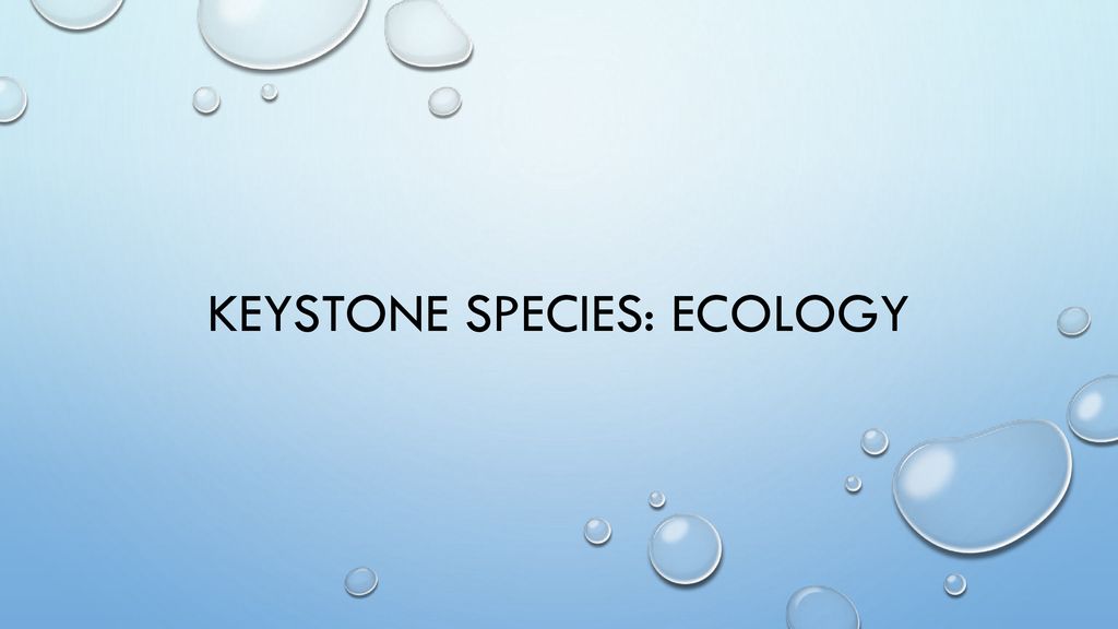 Community Ecology and Keystone Species — Steemit