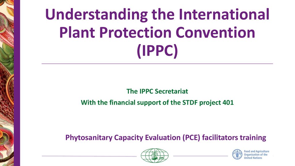 Expert working groups (EWGs) - International Plant Protection Convention