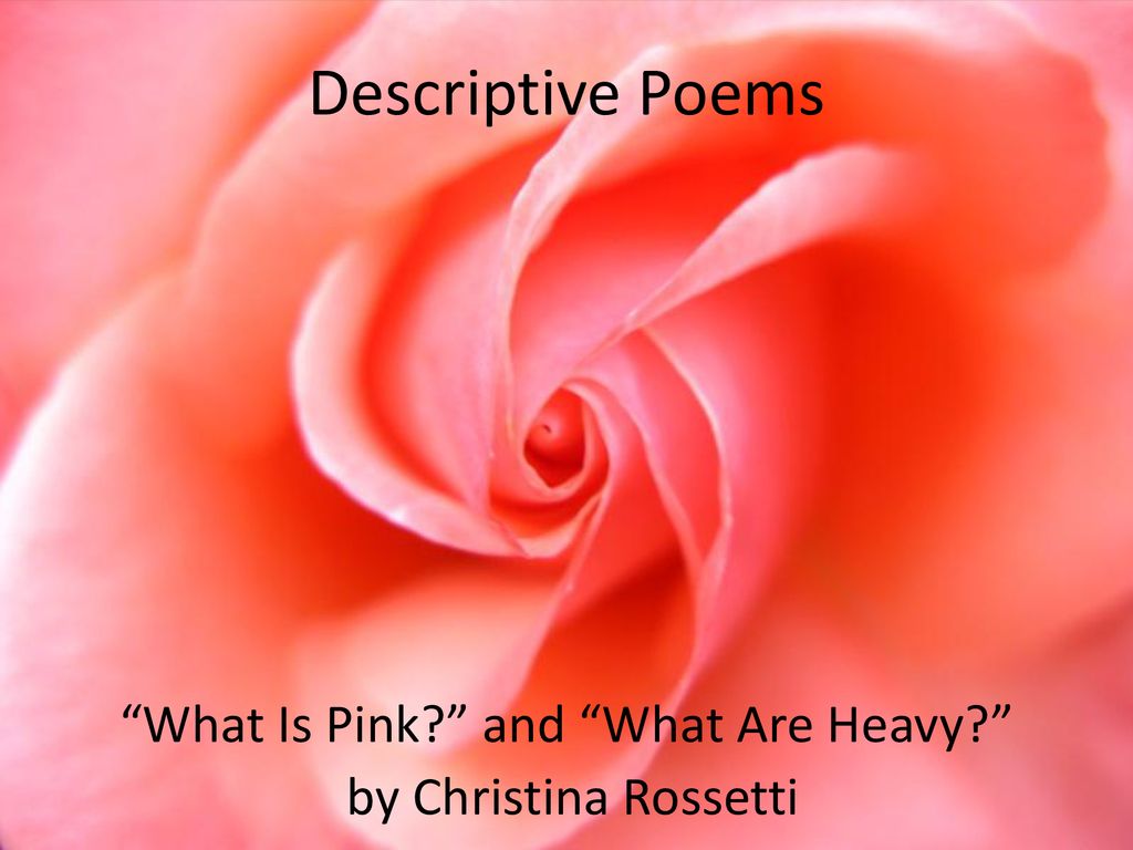 What Is Pink?” and “What Are Heavy?” by Christina Rossetti - ppt download