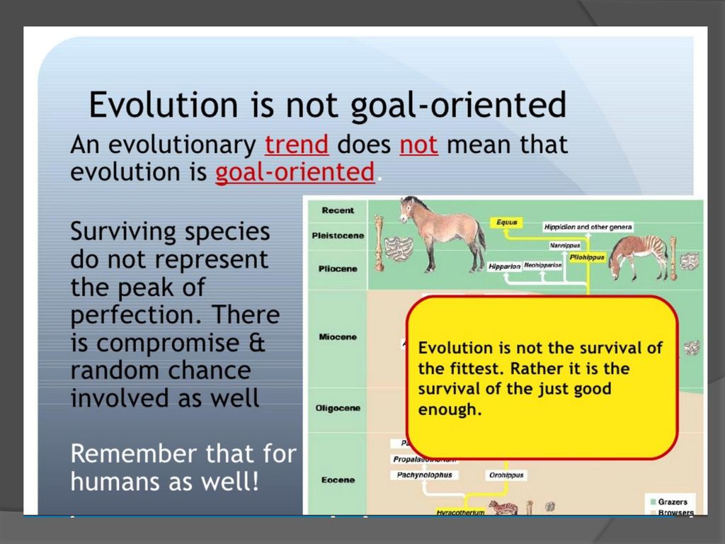 Why Evolution Has No Goal  Crucial Considerations - a science