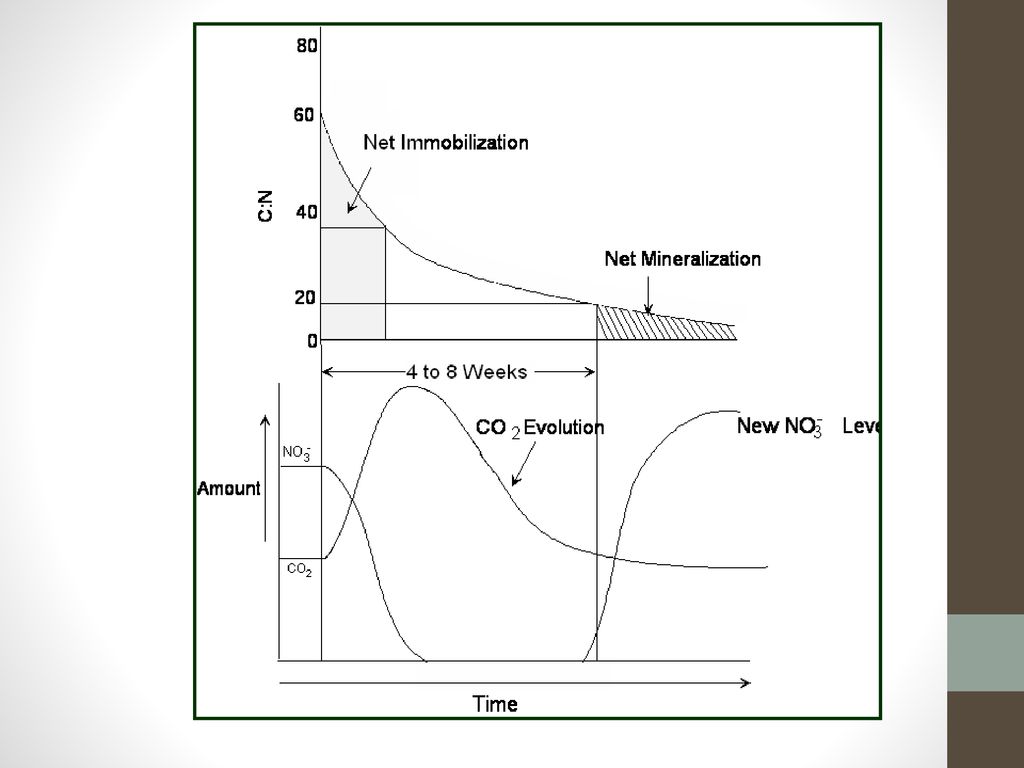 14+ Ammonia For Plants