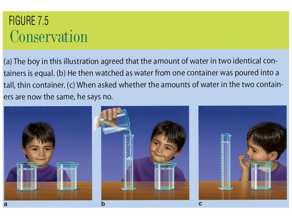 Conservation psychology definition outlet