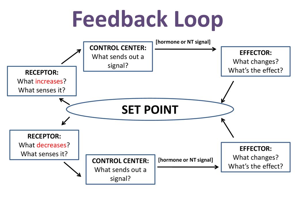 Feedback Loop Set Point Control Center What Sends Out A Signal Ppt Download