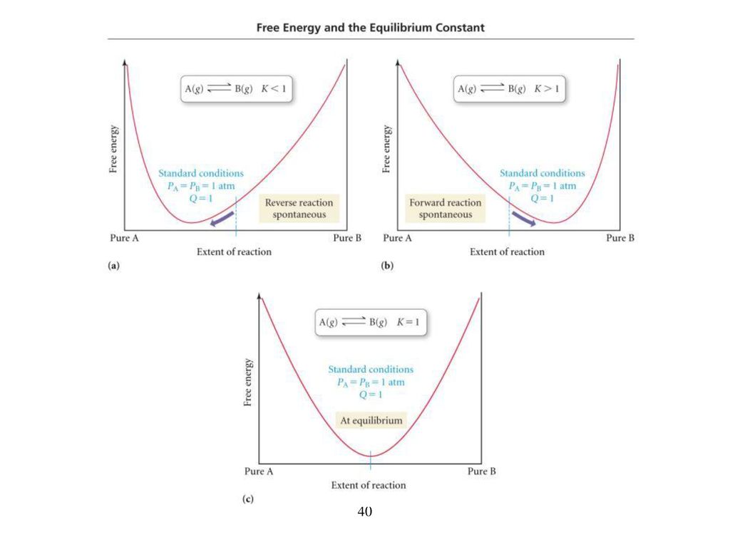 Chapter 17 Free Energy And Thermodynamics Ppt Download