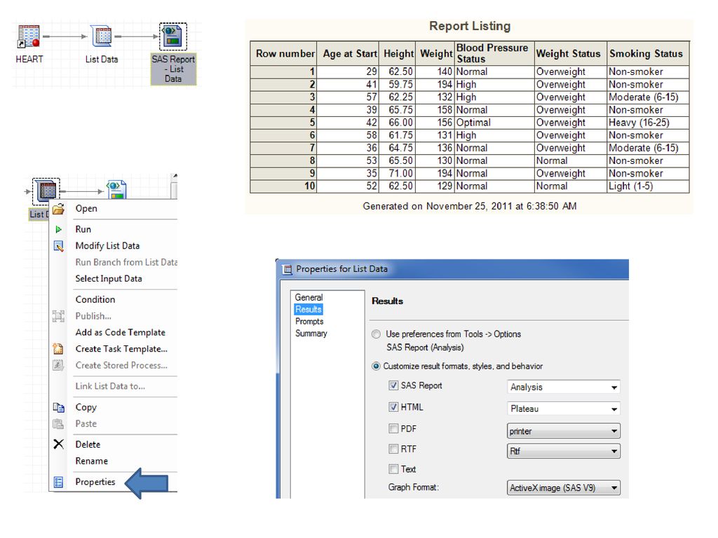 Sas output delivery system ppt download