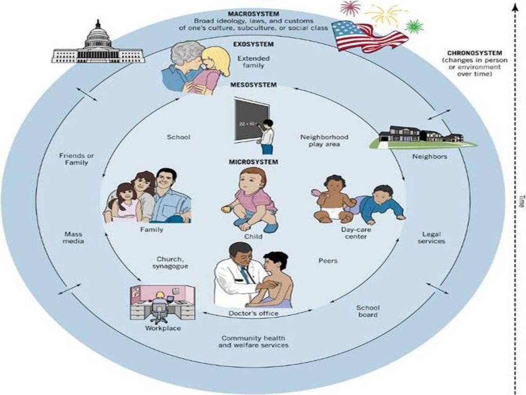 HUMAN DEVELOPMENT CHAPTER 4 ppt download