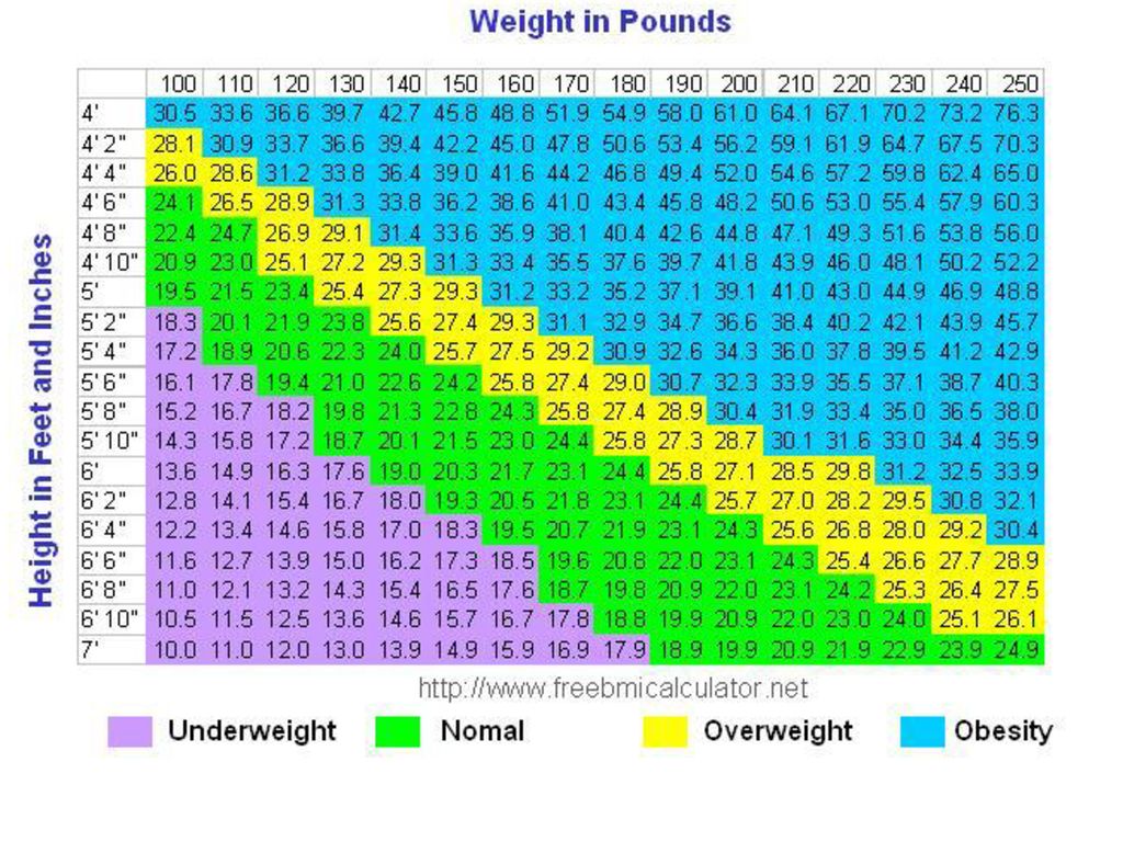 BMI Alternative = BAI - ppt download