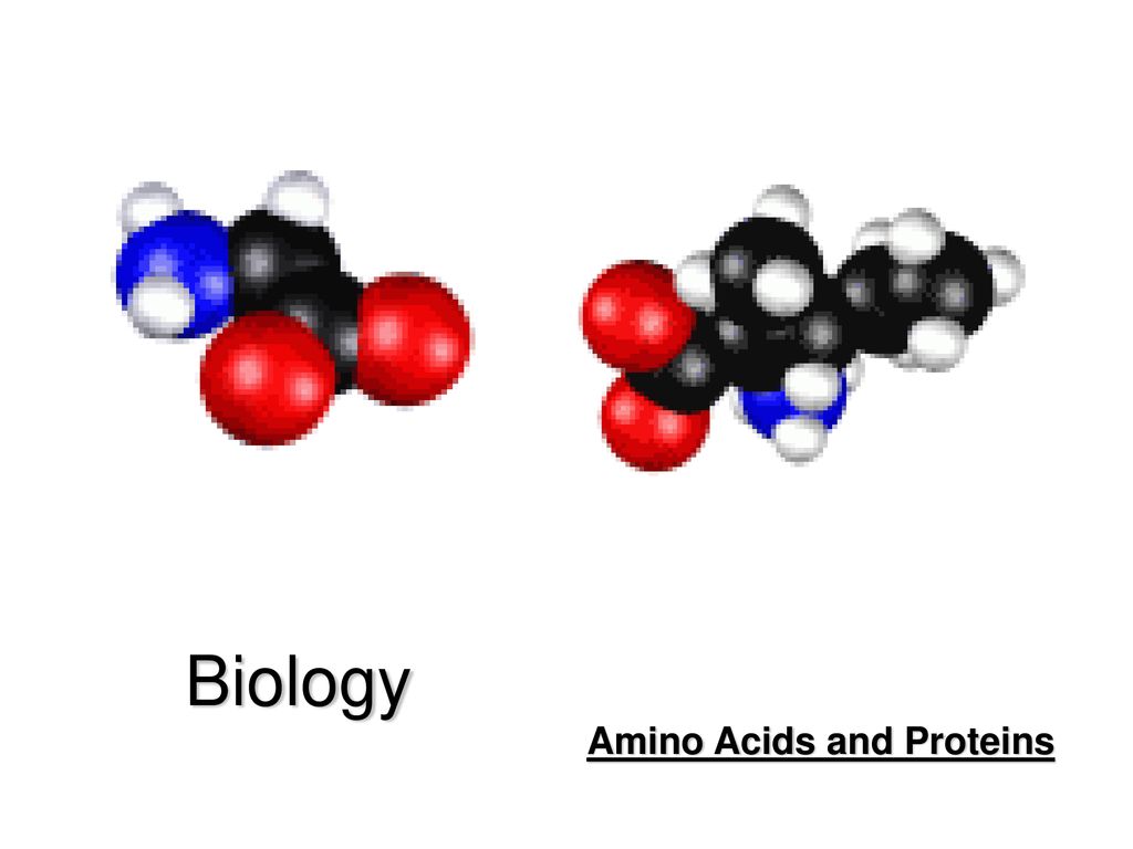 Amino Acids and Proteins - ppt download
