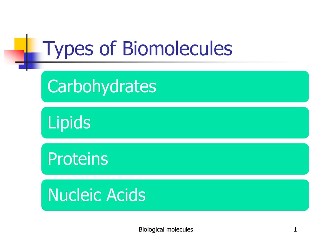 Biomolecules In My Meals by syarfaarinaa - Issuu