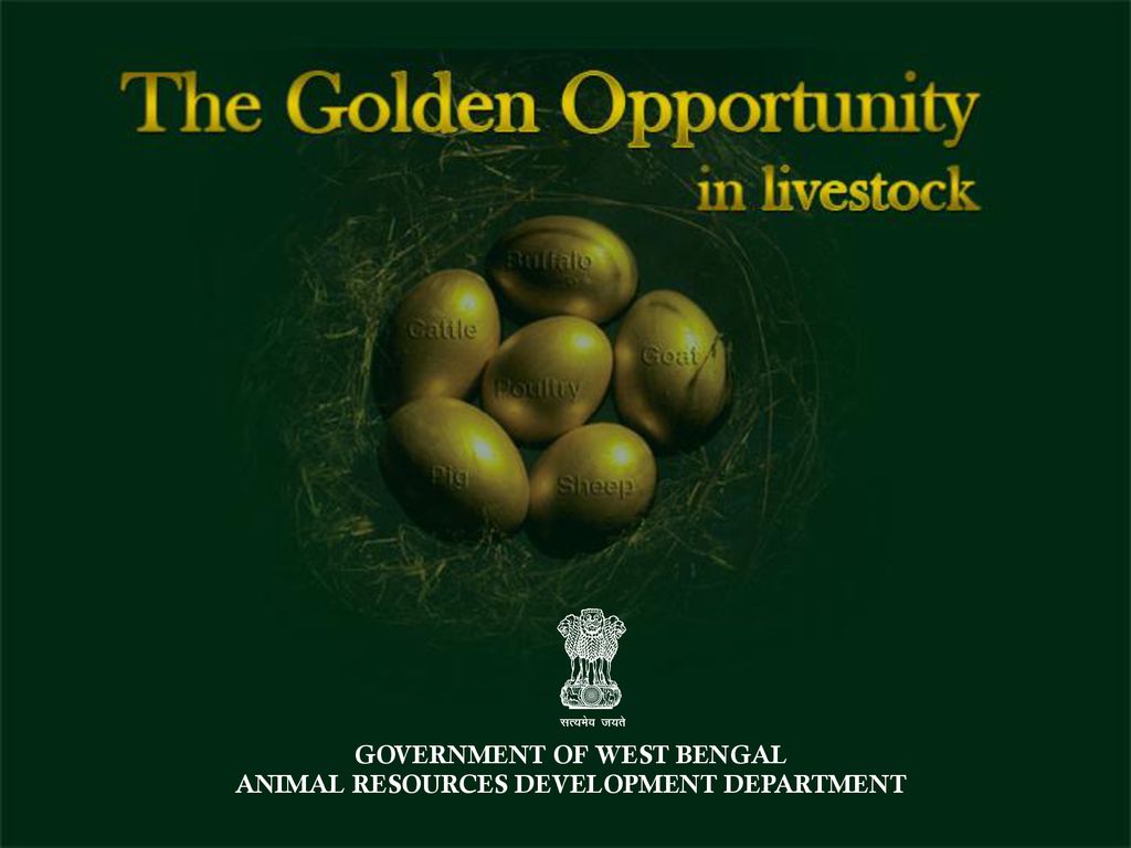 GOVERNMENT OF WEST BENGAL ANIMAL RESOURCES DEVELOPMENT DEPARTMENT - ppt  download
