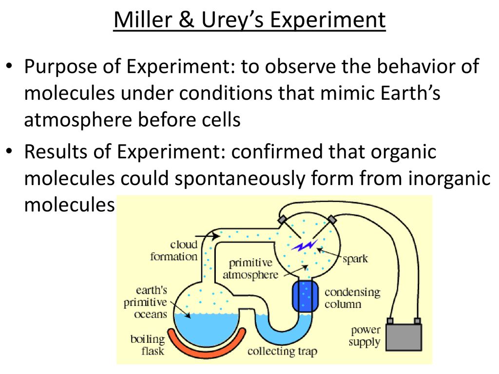 Miller & Urey's Experiment - ppt download