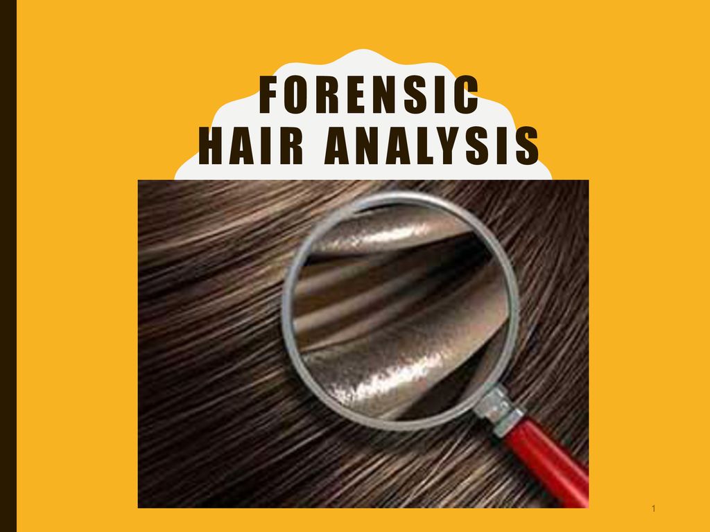 Forensic Hair Analysis - ppt download