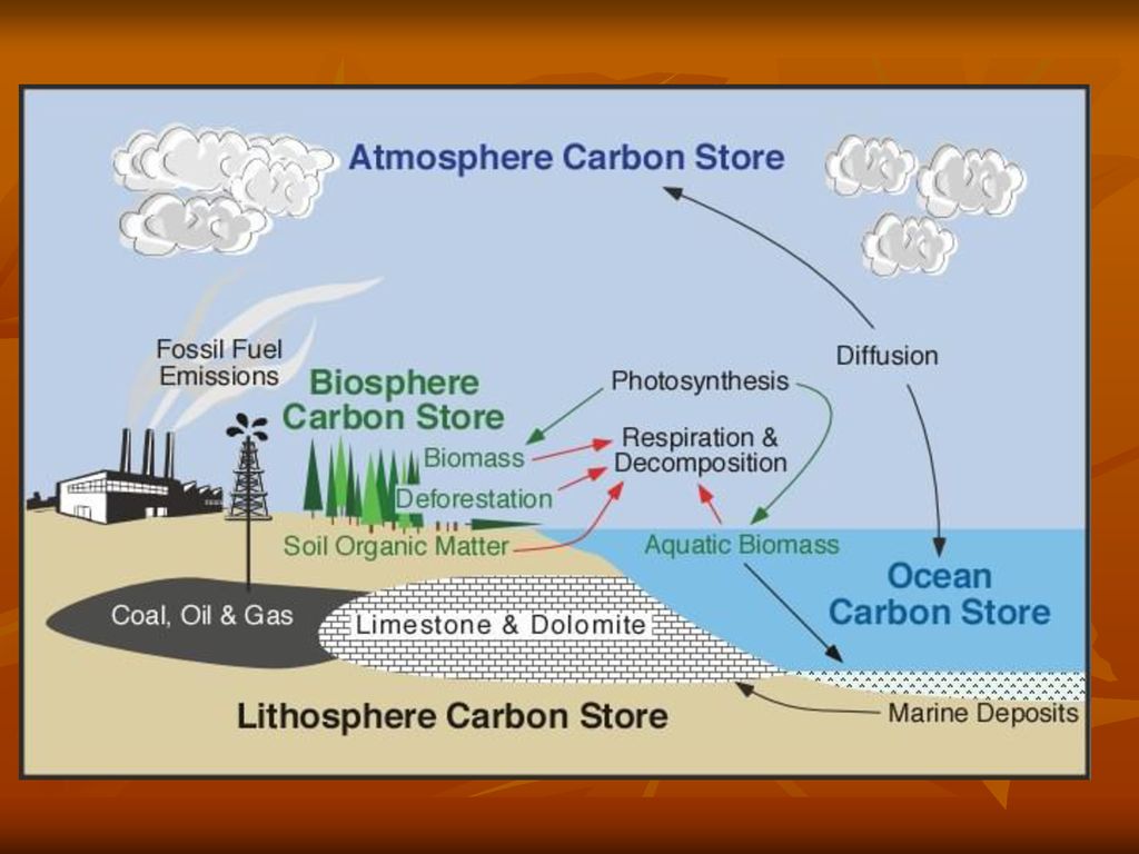 Use carbon dioxide. Carbon Cycle. Геохимический цикл углерода. Carbon emissions. Carbon Cycle co2.