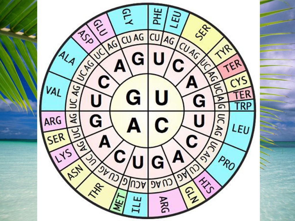Bingo.es gratis Bingo.es gratis