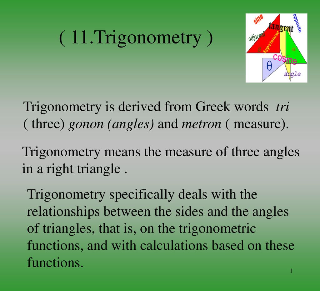 origin of the word trigonometry