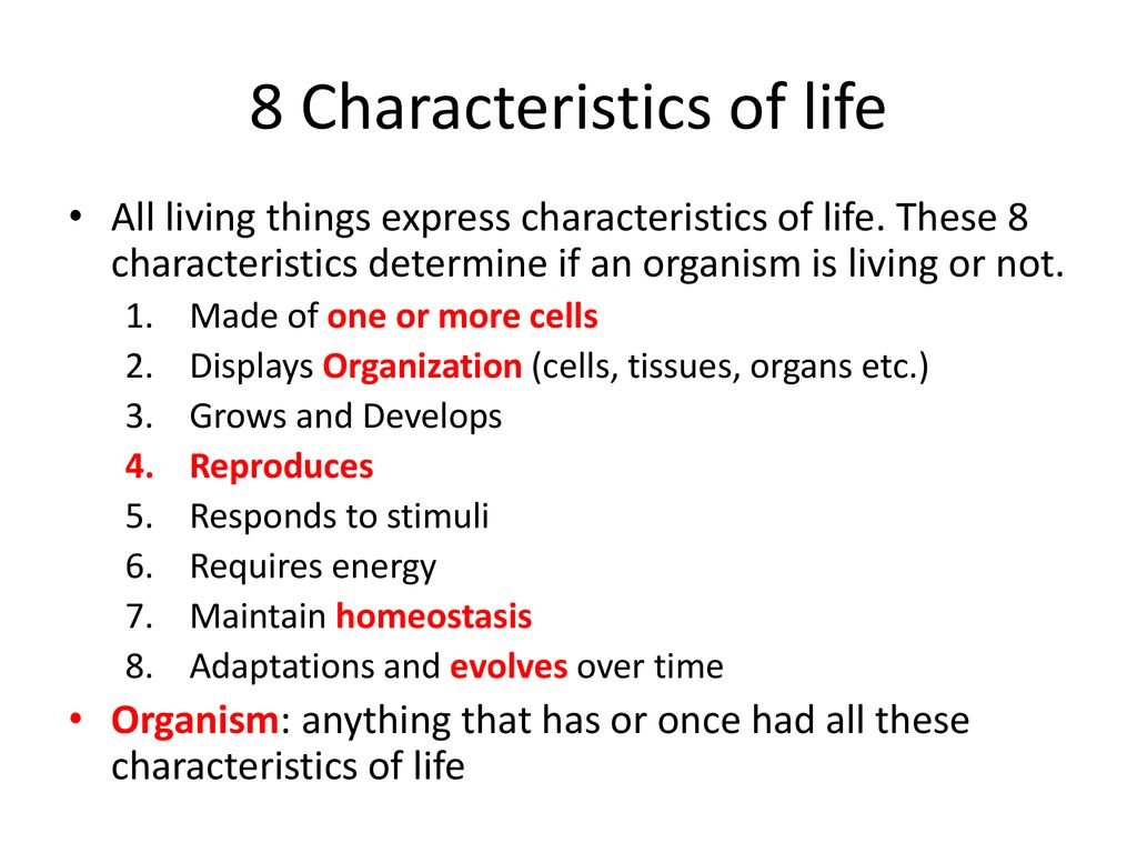 eight characteristics of all living things