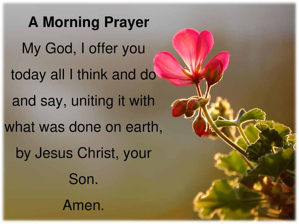 A Morning Prayer My God I Offer You Today All I Think And Do And Say Uniting It With What Was Done On Earth By Jesus Christ Your Son Amen Ppt