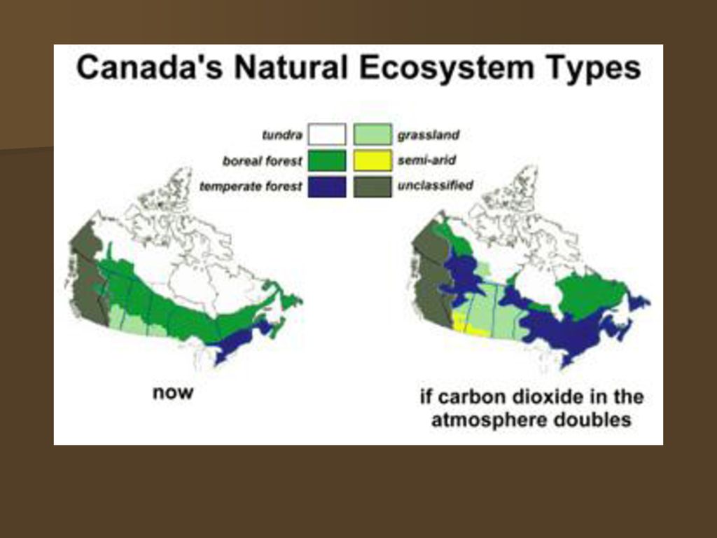 Canadian Biomes Land Biomes - ppt download