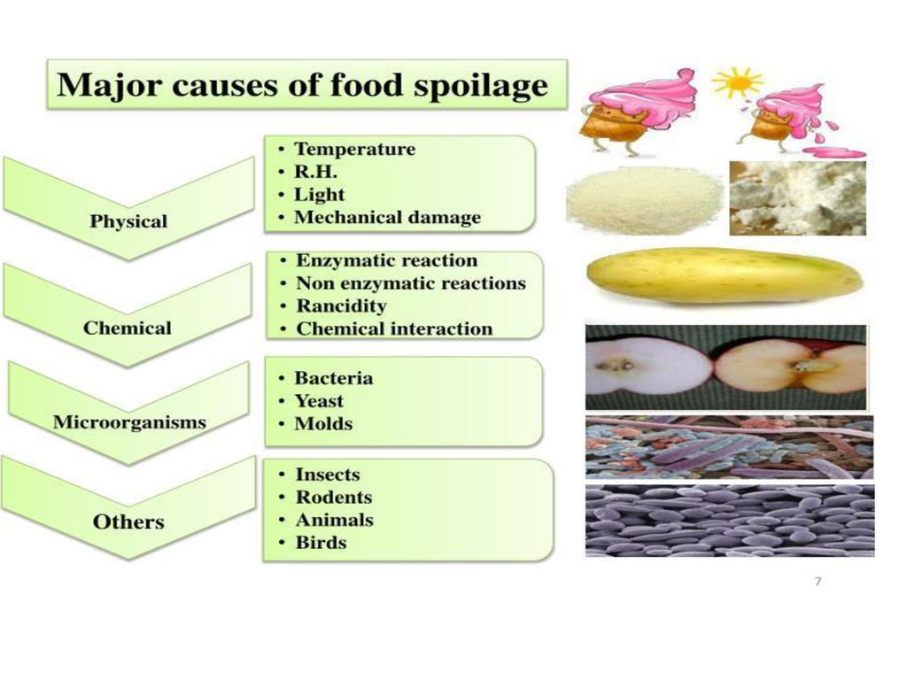Food Spoilage food-spoilage